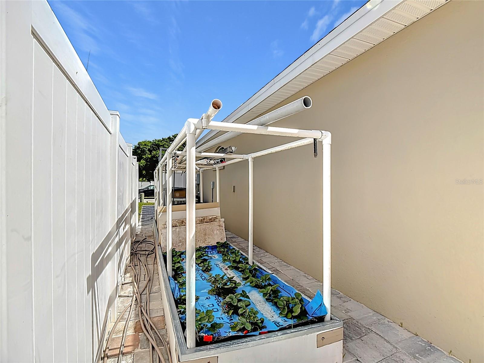 Image 46 of 58 For 2249 Country Manor Street