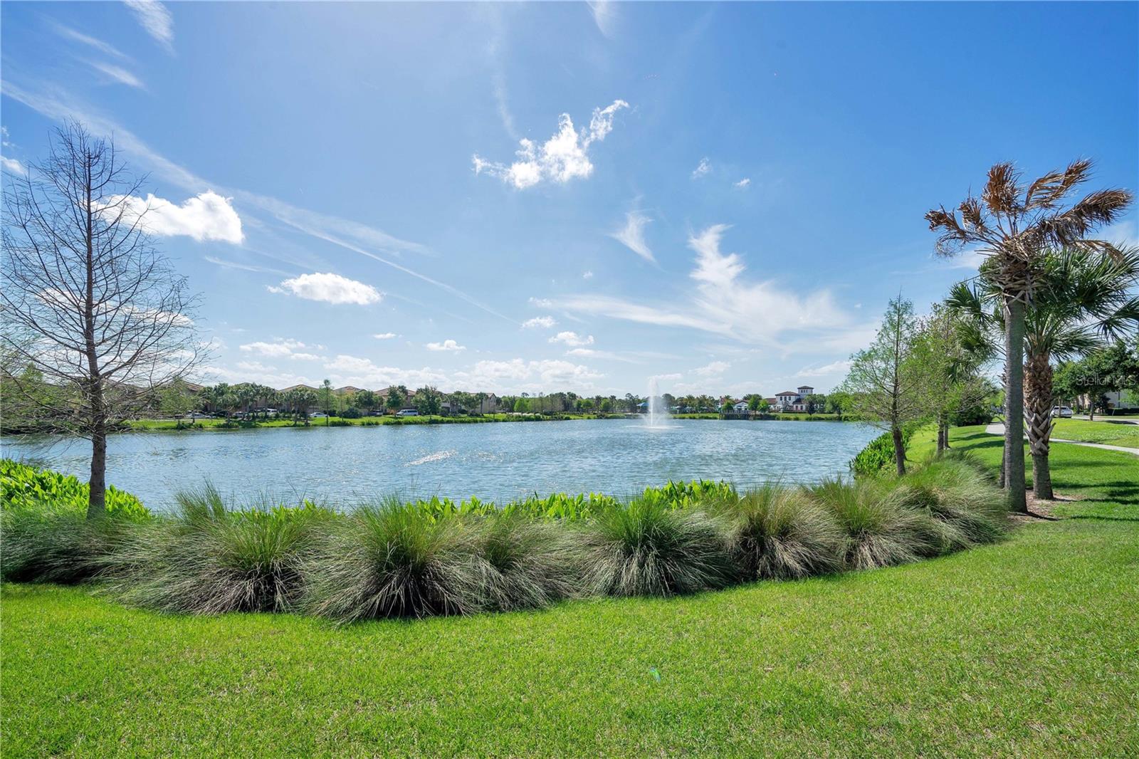 Image 47 of 52 For 8811 Geneve Court
