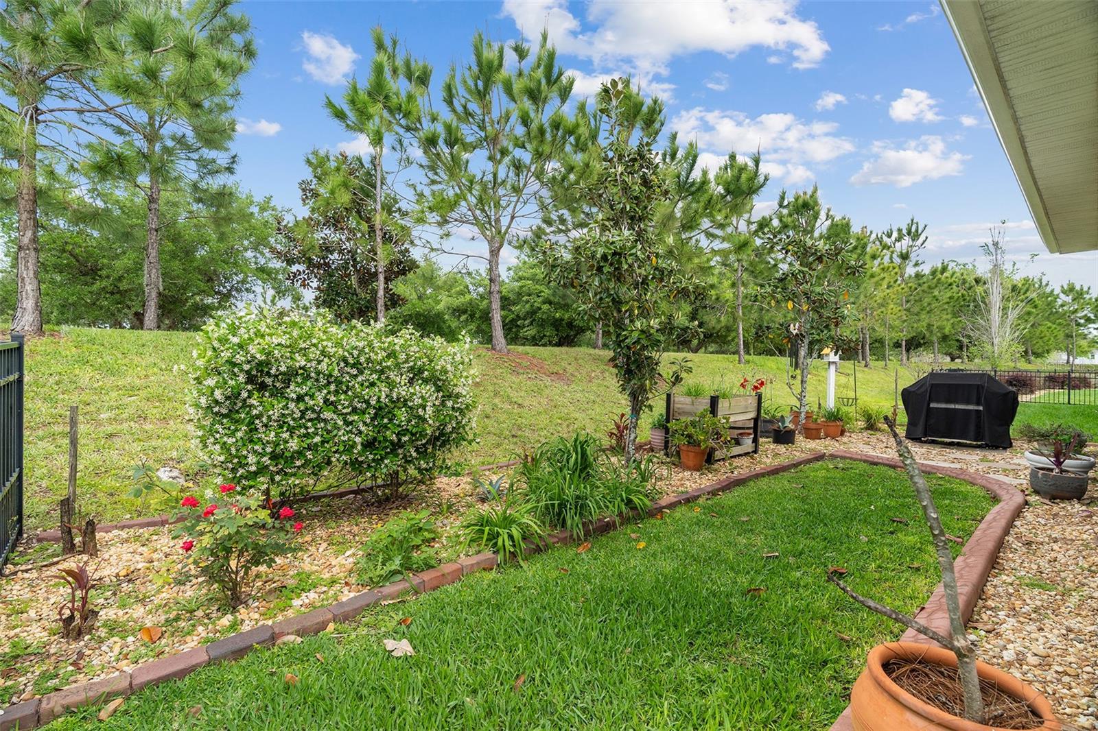 Image 6 of 65 For 3113 Songbird Cir