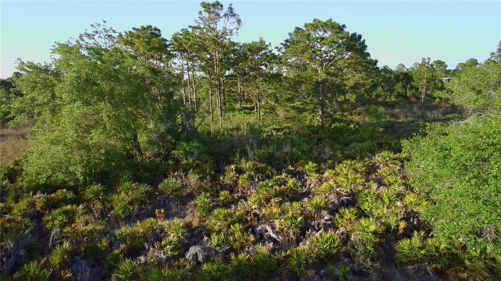 Image 3 of 5 For Reynolds Parkway