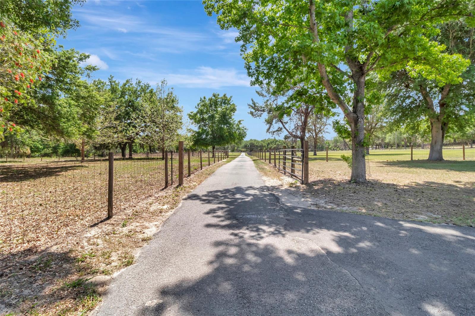 Image 58 of 66 For 12305 Howey Cross Road