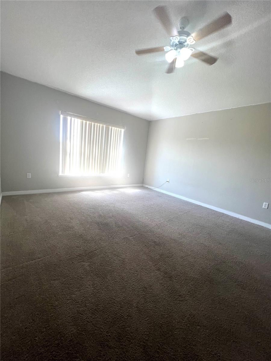 Image 13 of 27 For 557 Milford Street