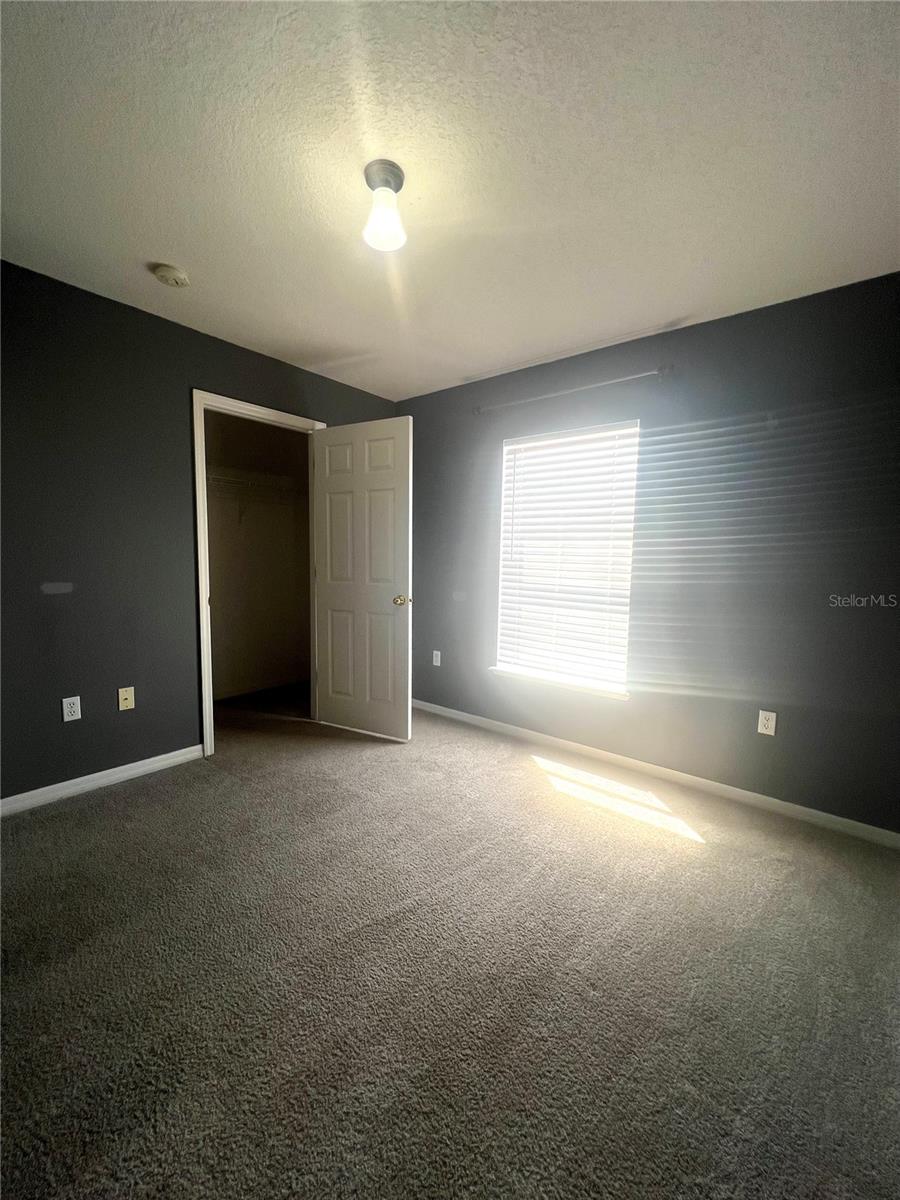 Image 19 of 27 For 557 Milford Street