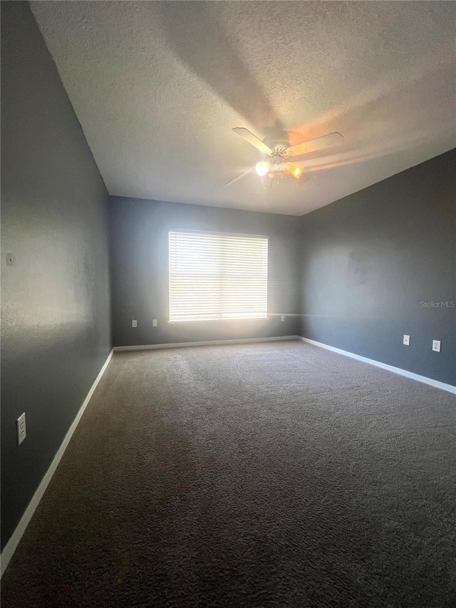 Image 24 of 27 For 557 Milford Street