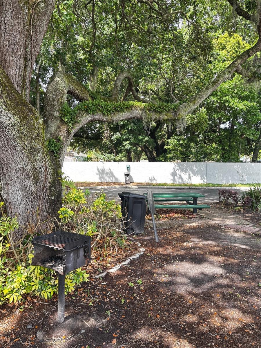 Image 21 of 24 For 1615 Columbia Arms Circle 251