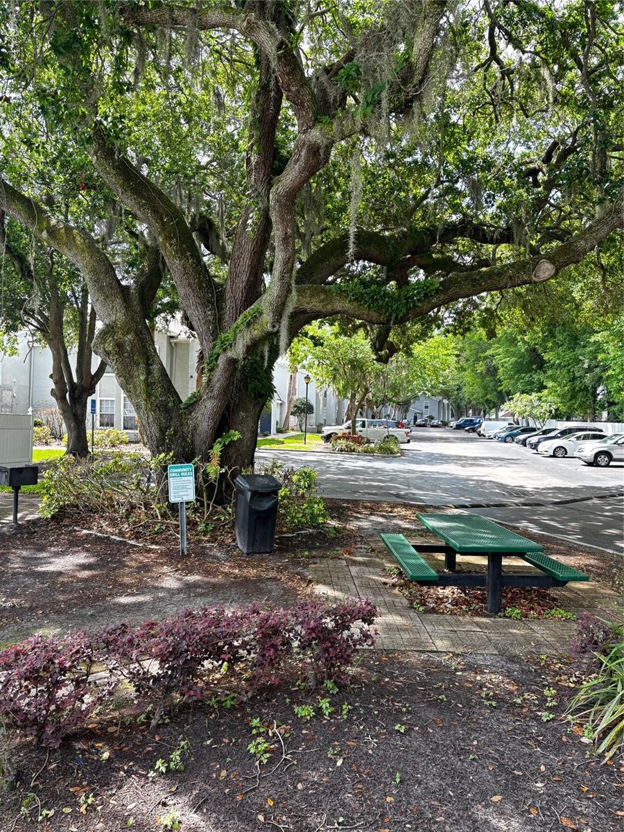 Image 22 of 24 For 1615 Columbia Arms Circle 251