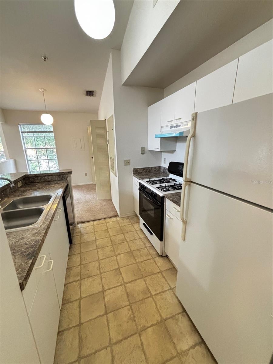 Image 8 of 24 For 1615 Columbia Arms Circle 251