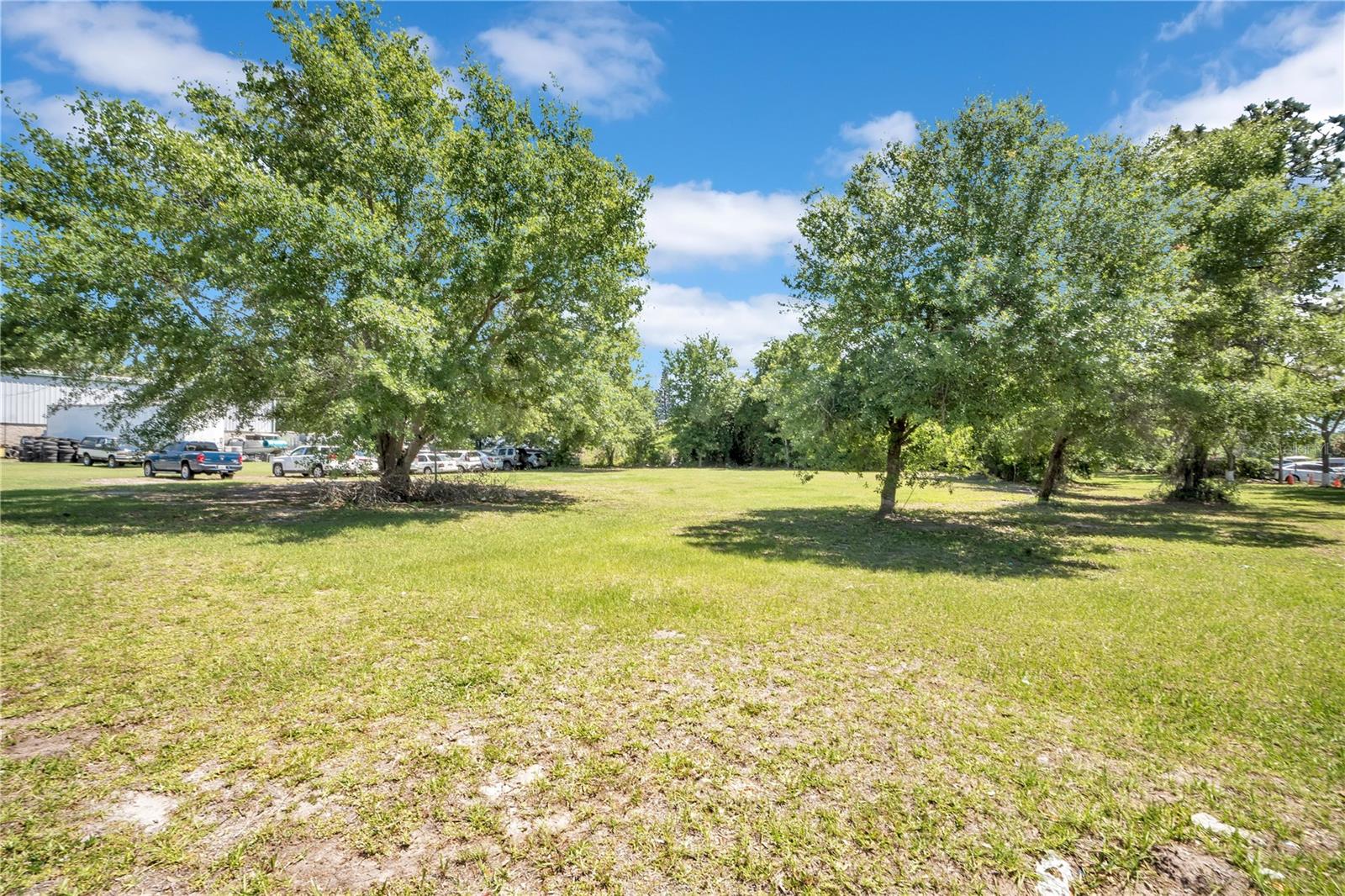 Image 6 of 21 For 0 Lions Court