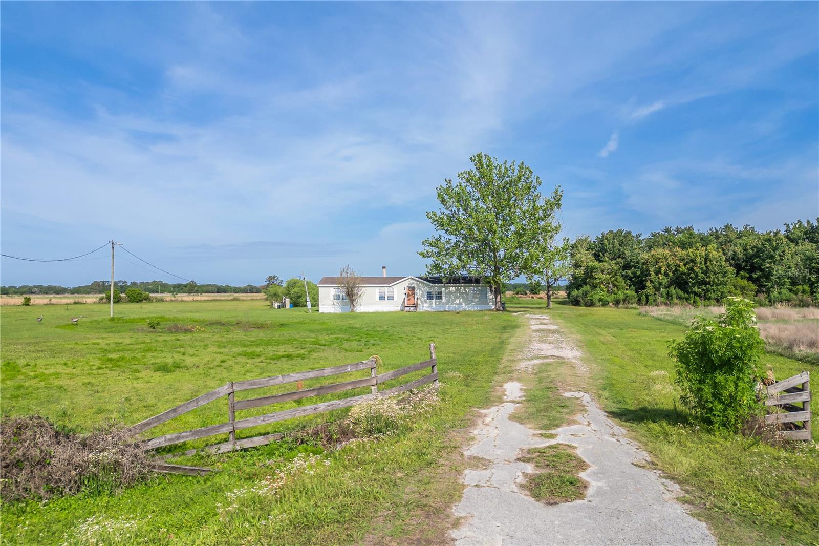 Image 28 of 35 For 4425 Roundup