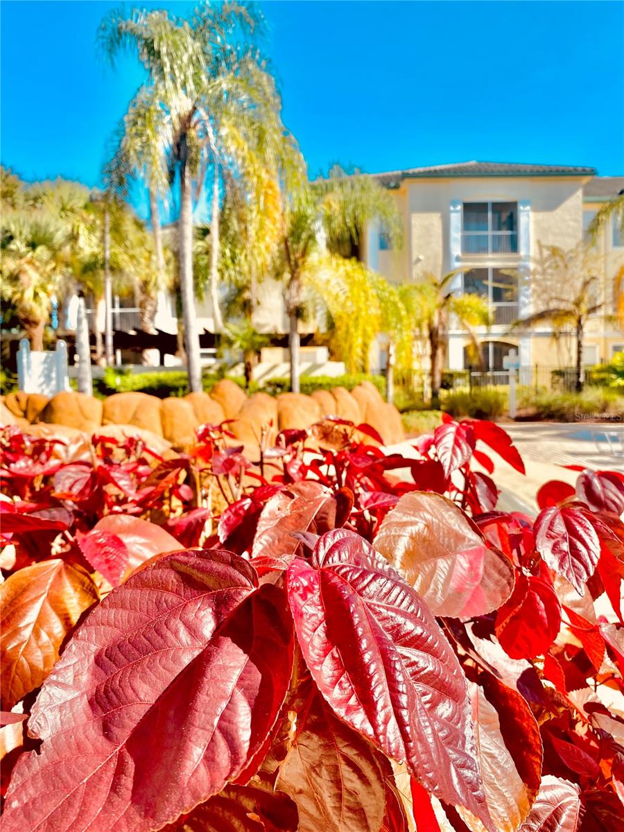 Image 53 of 65 For 8908 Legacy Court 16 103