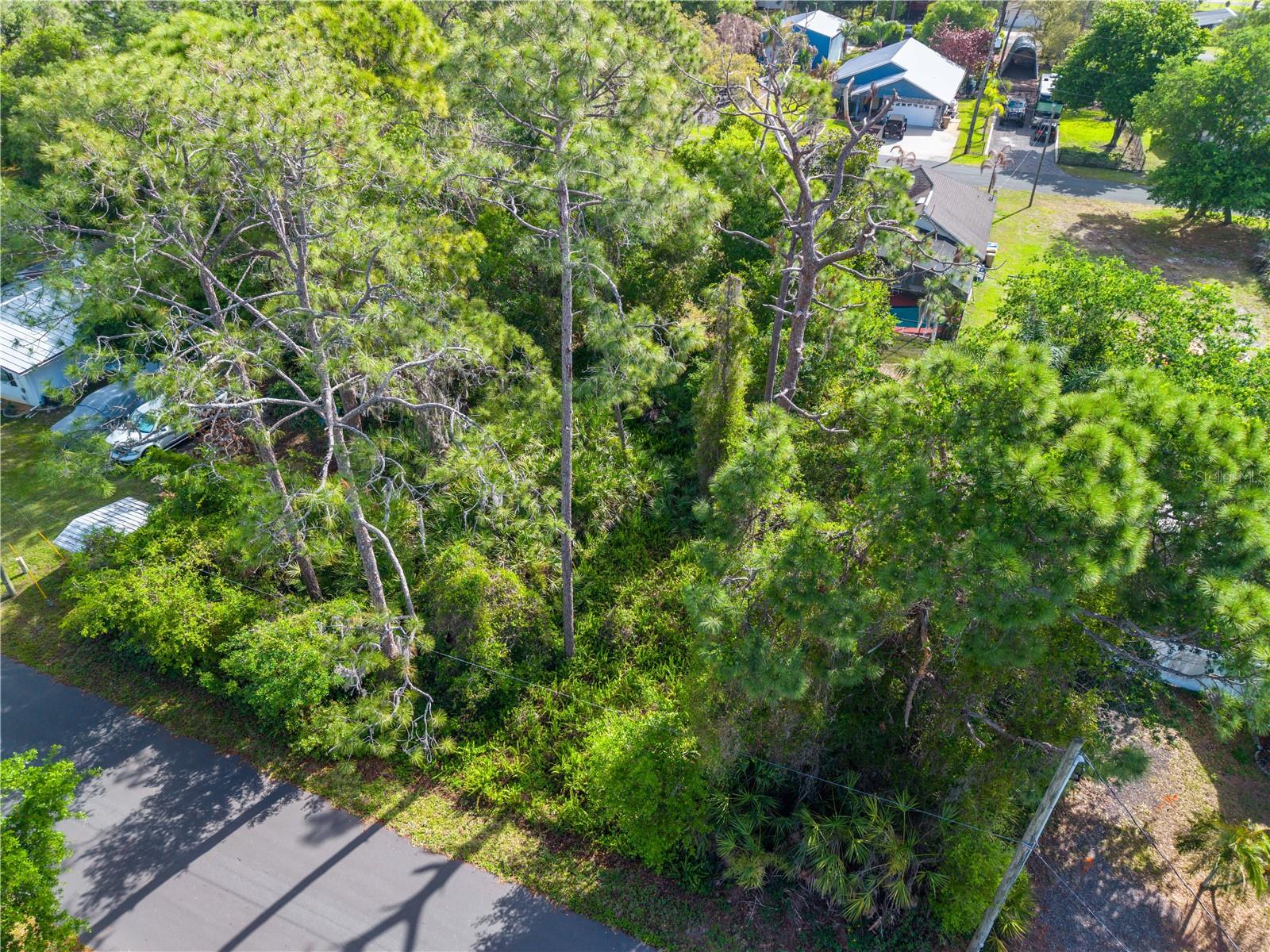 Image 11 of 12 For  Burton Dr  