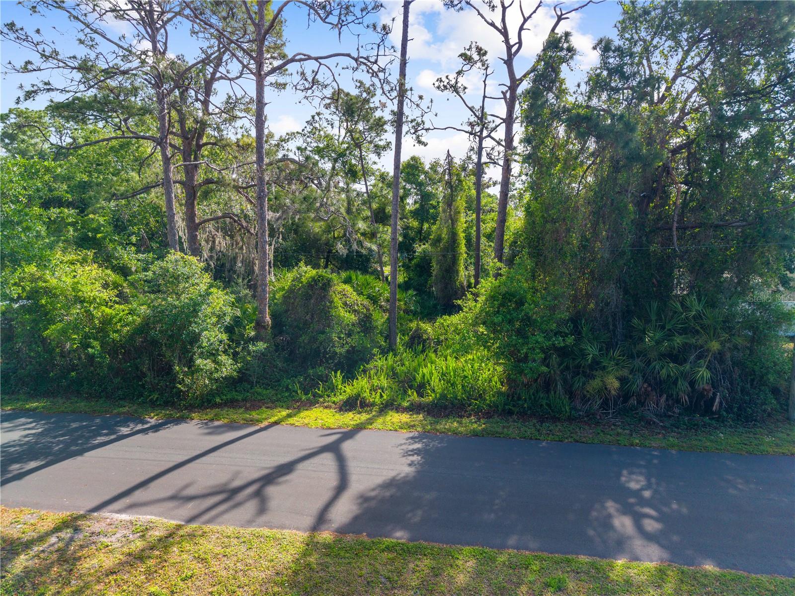 Image 4 of 12 For  Burton Dr  