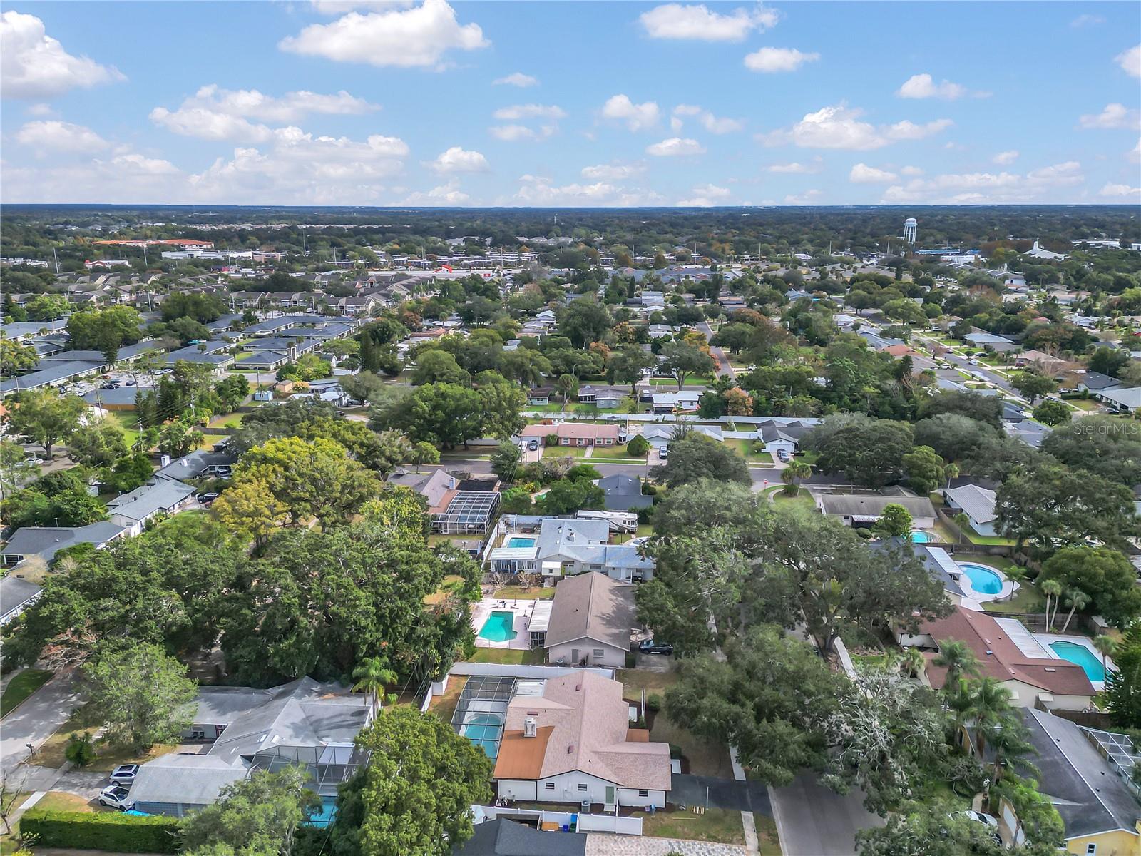 Image 43 of 47 For 1985 Japonica Road