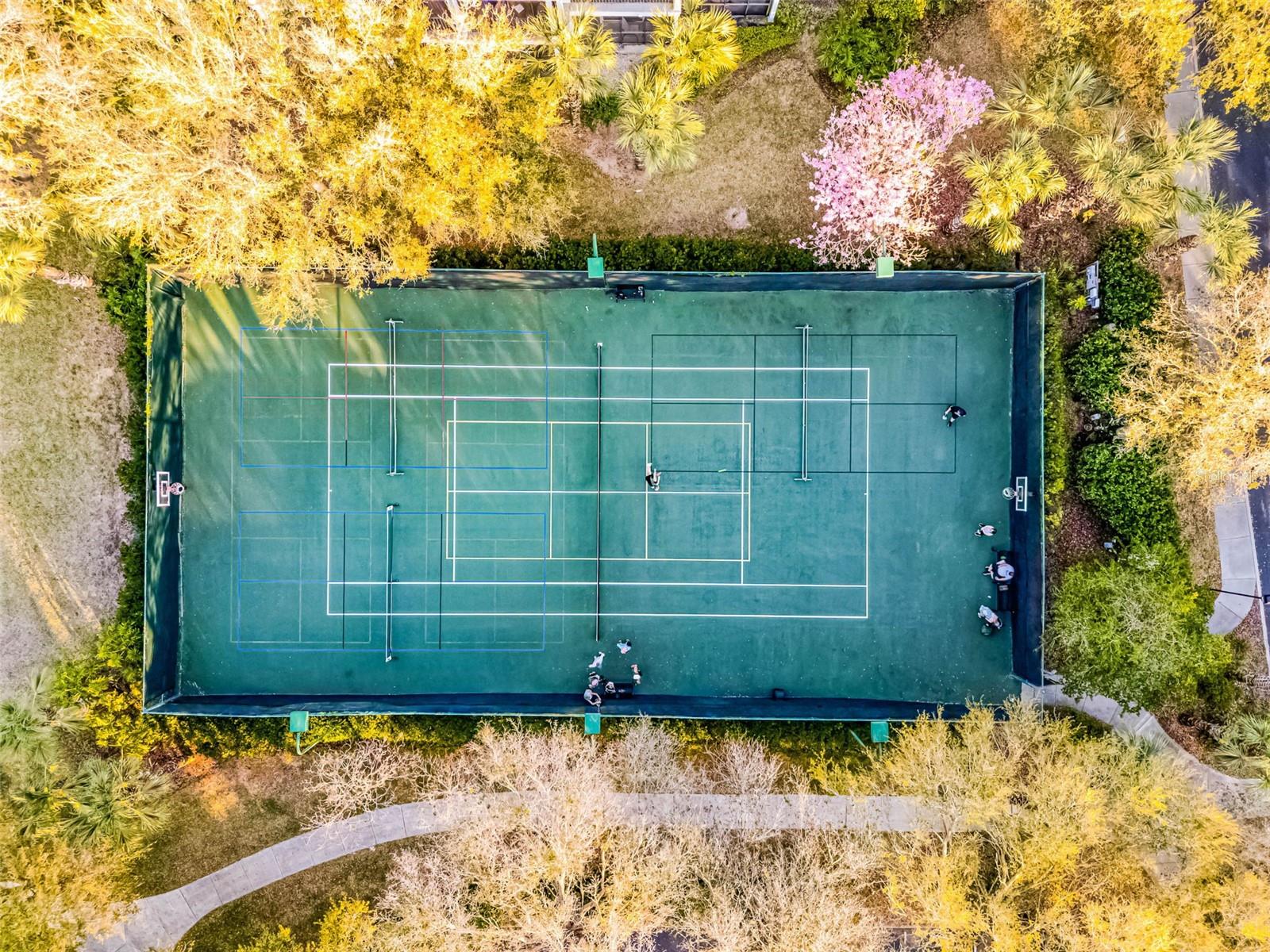 Image 44 of 50 For 106 Lucaya Loop