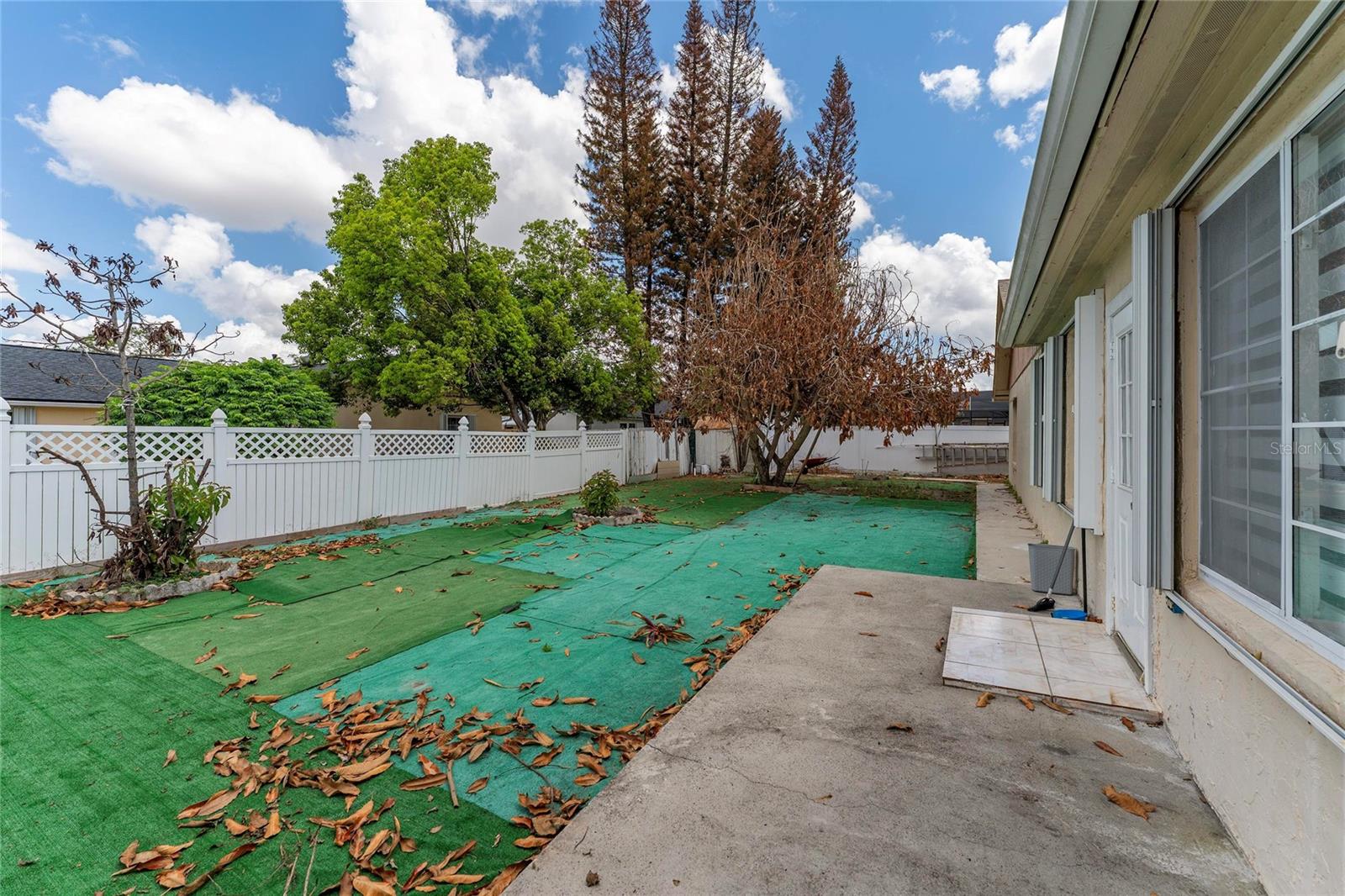 Image 31 of 36 For 2779 Muscatello Street