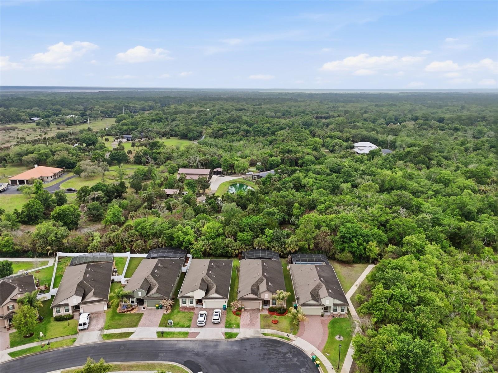 Listing photo id 43 for 5541 Extravagant Court