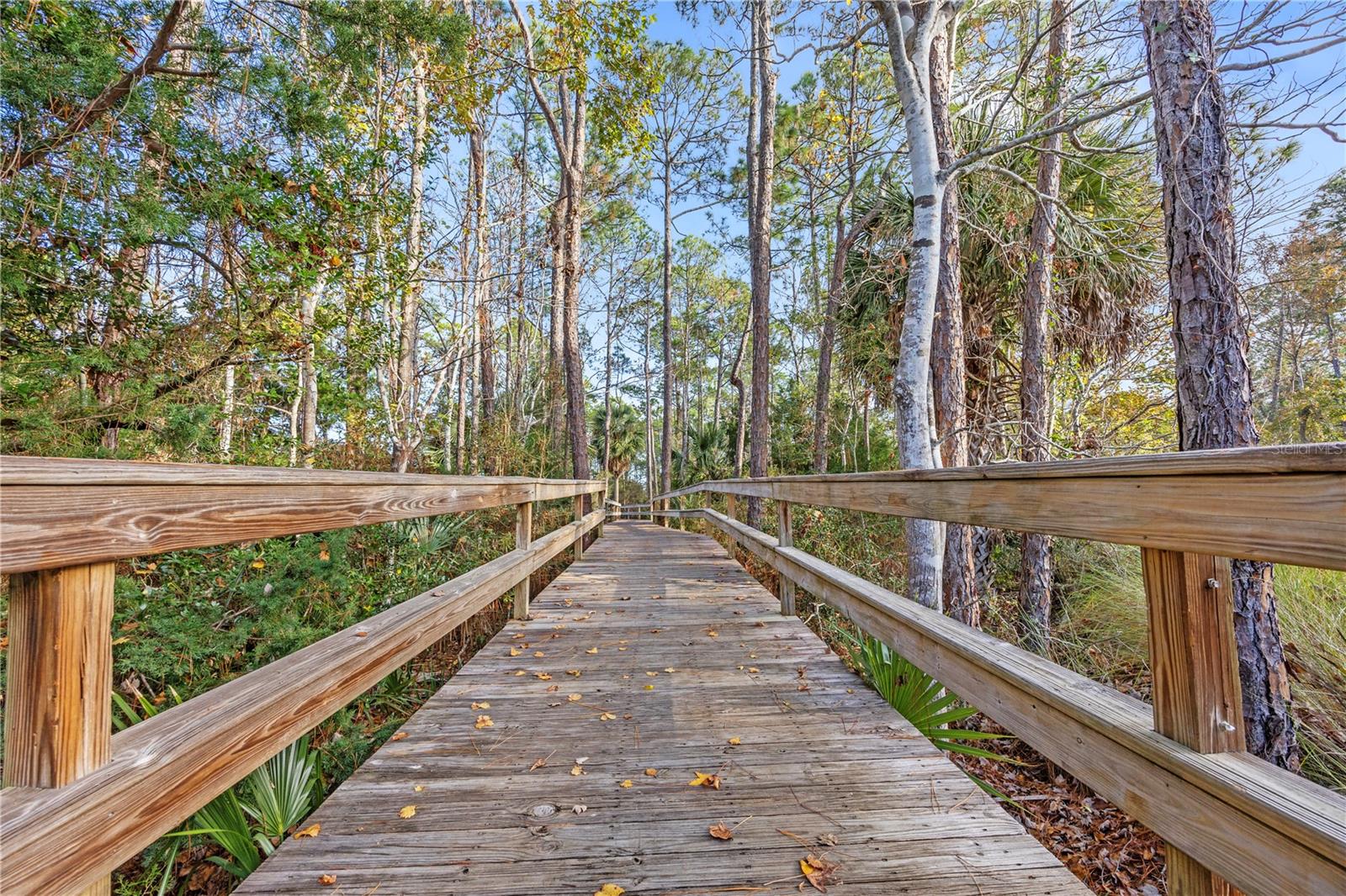 Image 23 of 34 For 68 Parkfront Lane