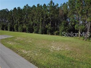 Details for Lake Smith Road, UMATILLA, FL 32784