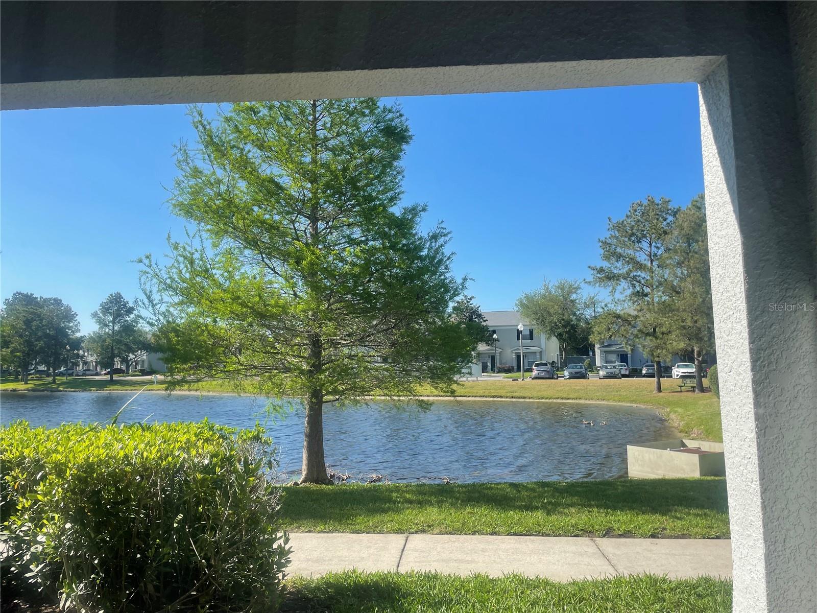 Image 33 of 34 For Address Not Provided