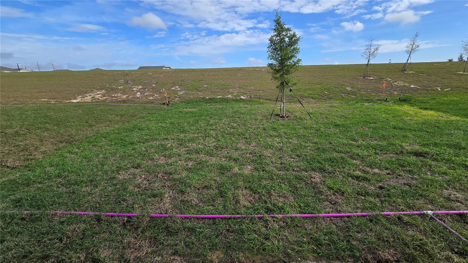 Image 46 of 47 For 3363 Alexander Drive