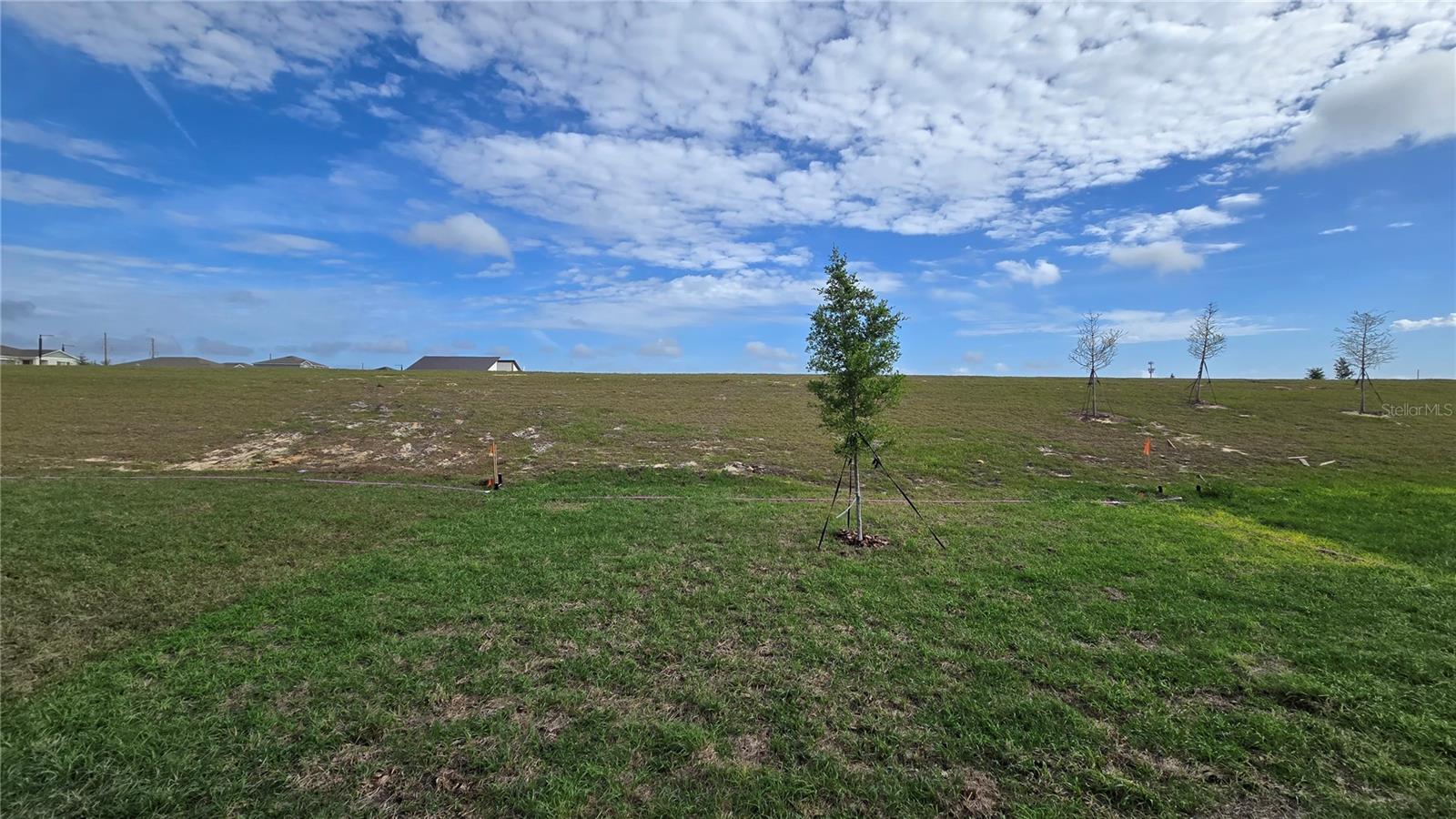 Image 47 of 47 For 3363 Alexander Drive