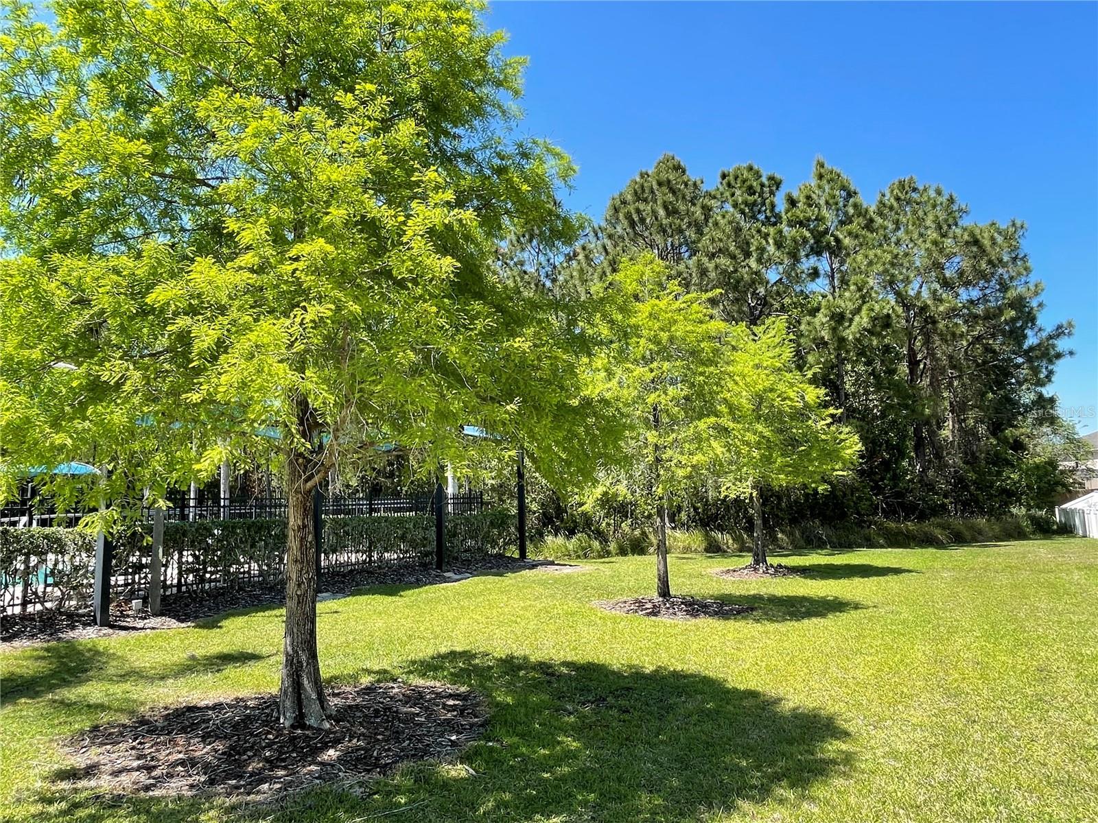 Image 54 of 54 For 9978 Bennington Chase Drive