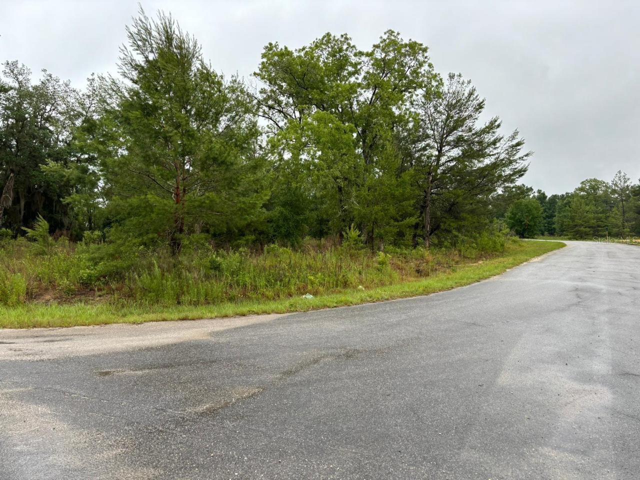 Details for 1 Malauka Radial Drive, OCKLAWAHA, FL 32179