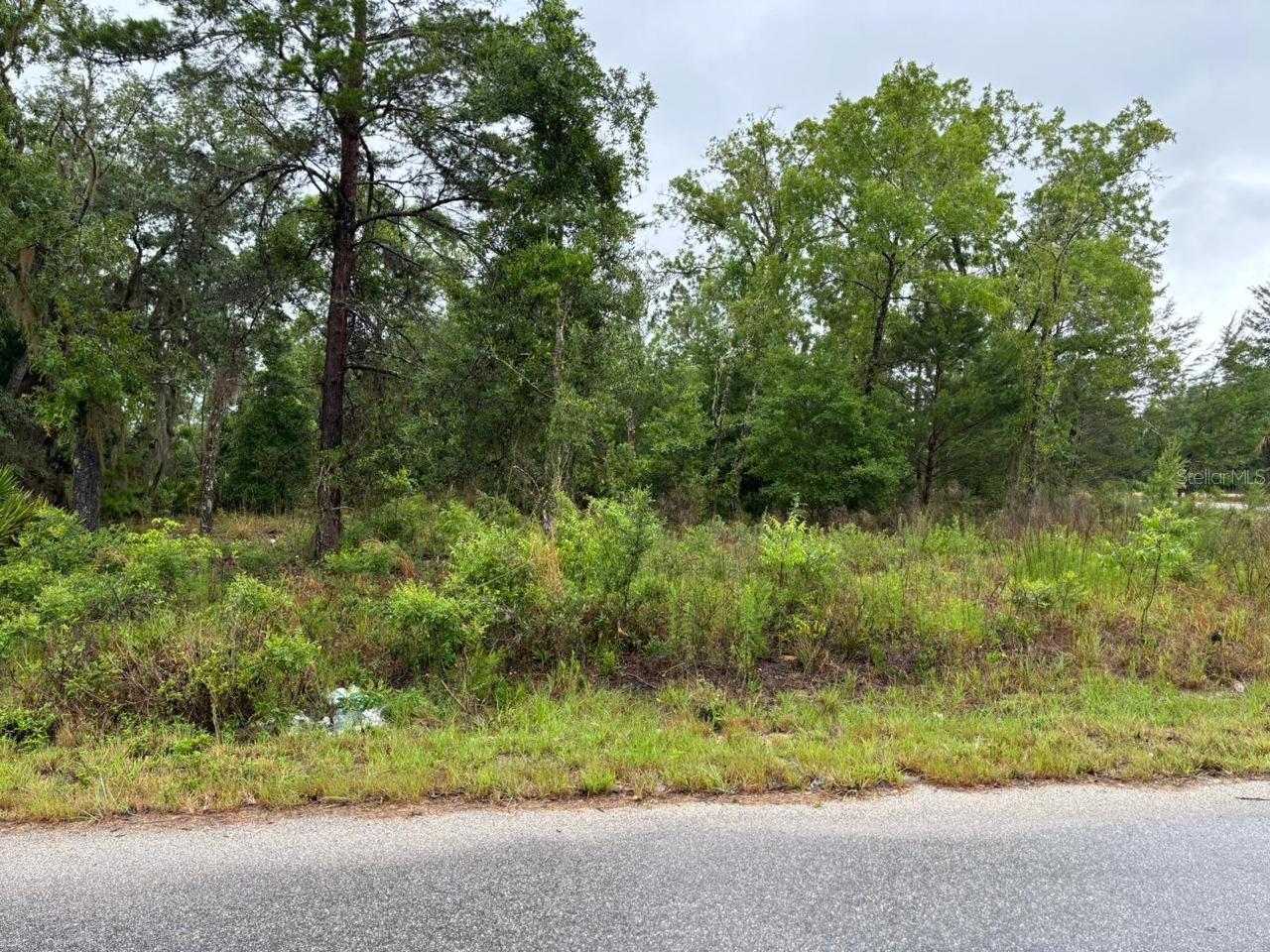 Image 2 of 3 For 1 Malauka Radial Drive