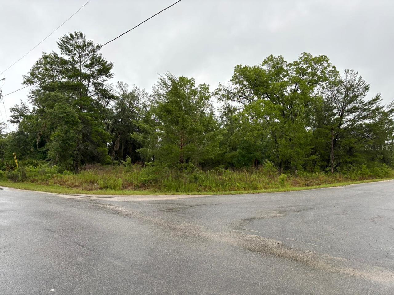 Image 3 of 3 For 1 Malauka Radial Drive