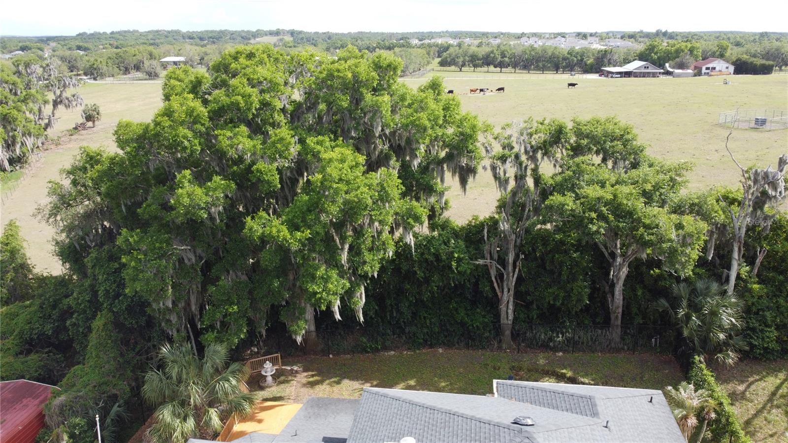 Image 85 of 92 For 6846 Lake View Drive