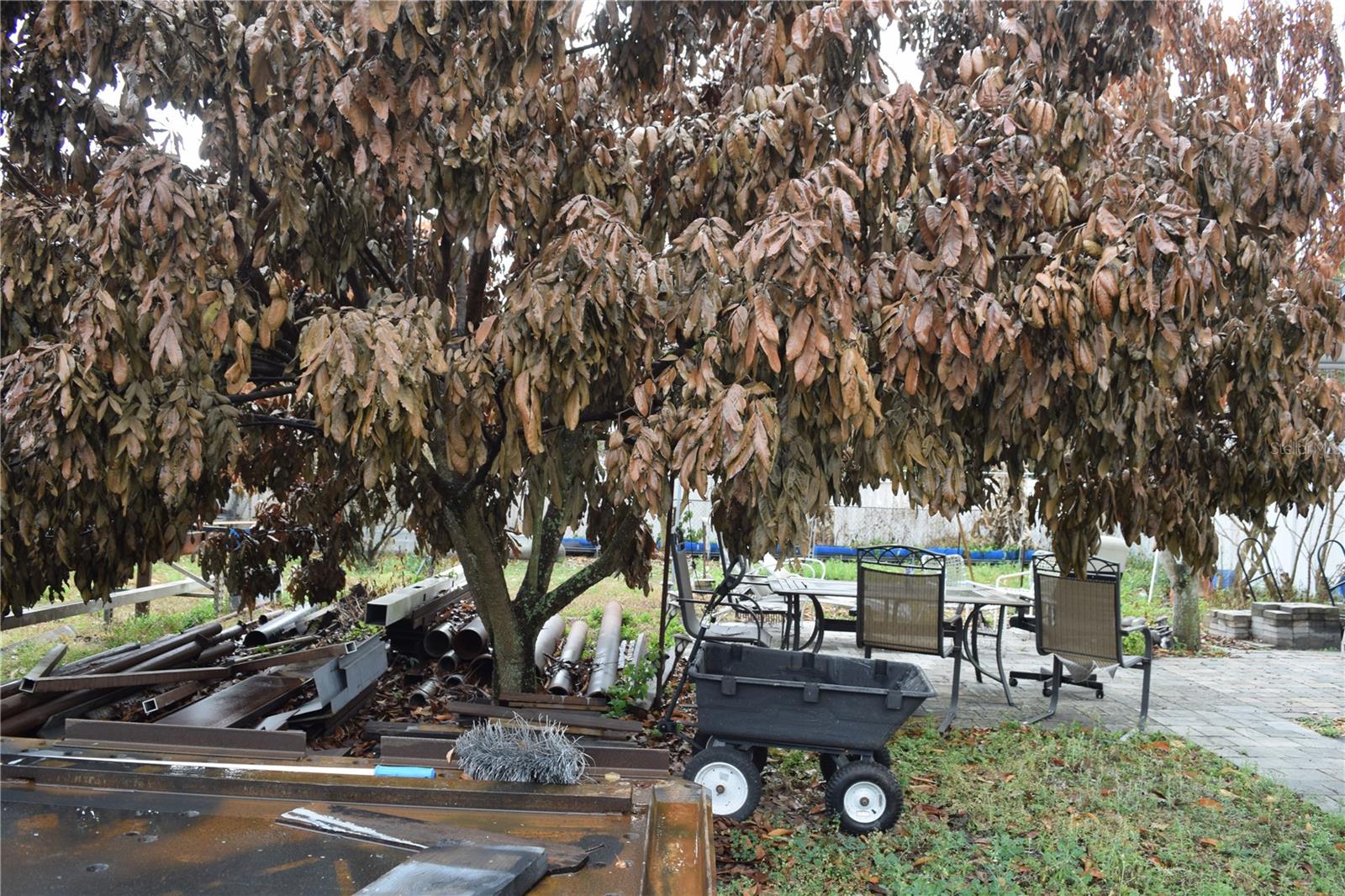 Image 21 of 64 For 8304 Dot Lane