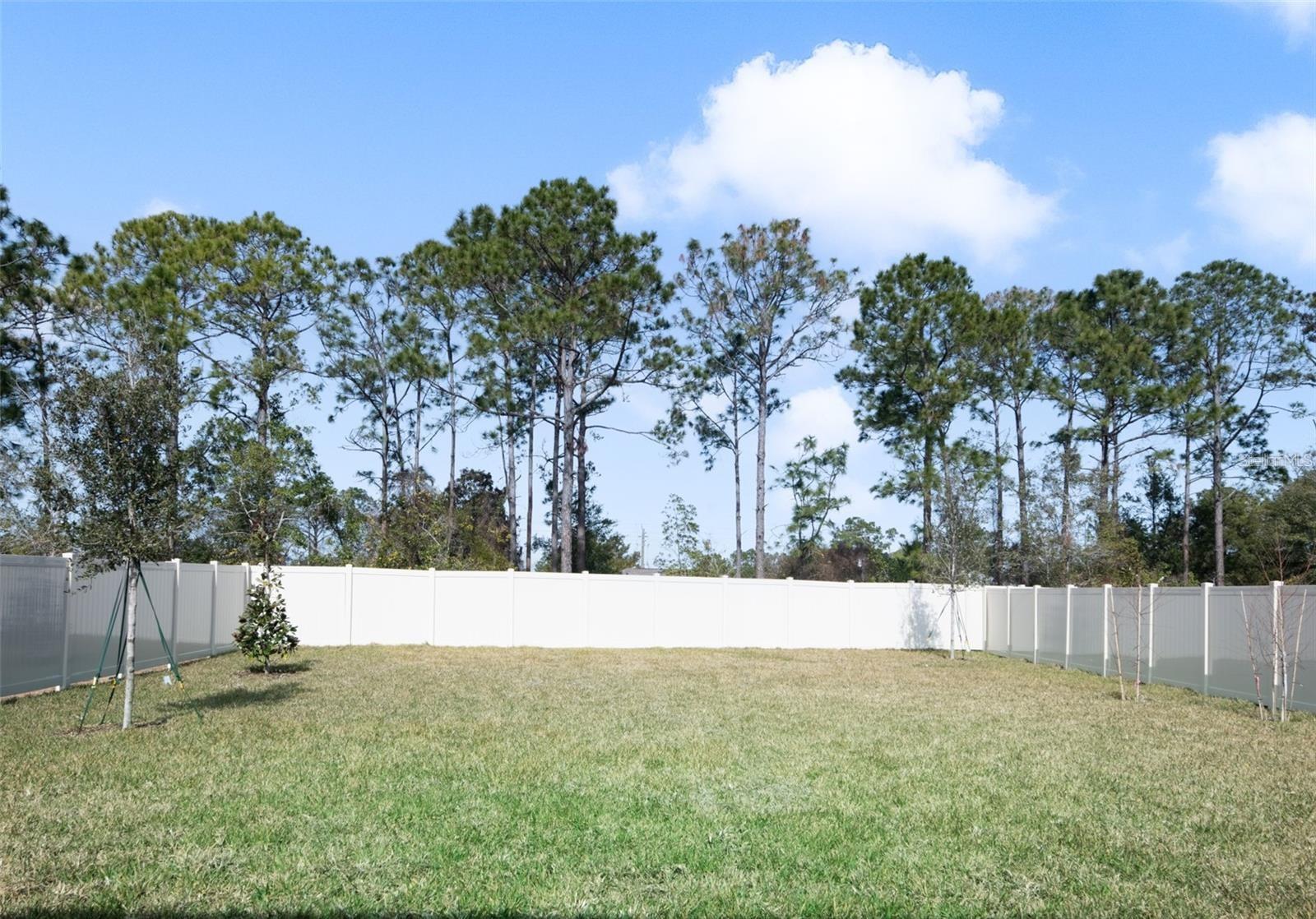 Image 31 of 45 For 88 Waverly Lane