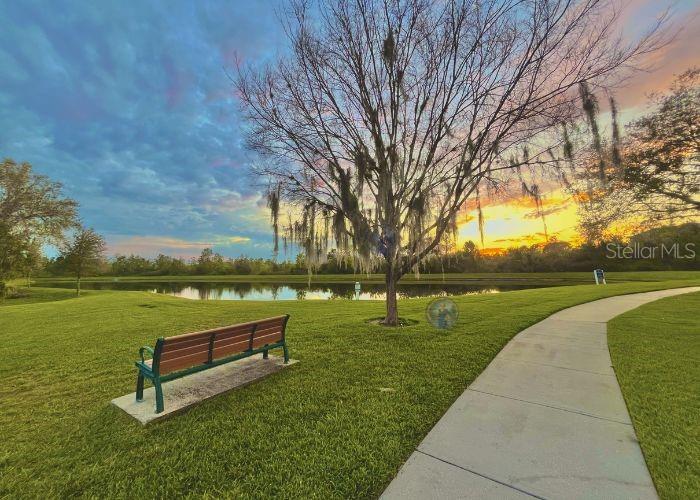 Image 76 of 77 For 8323 Riverdale Lane 10123