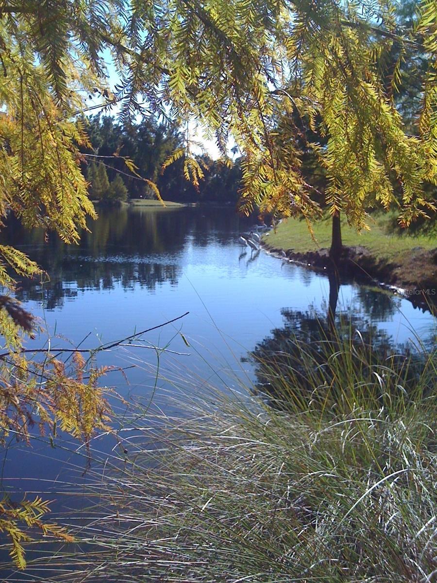 Image 48 of 52 For 1231 Wright Cir  308