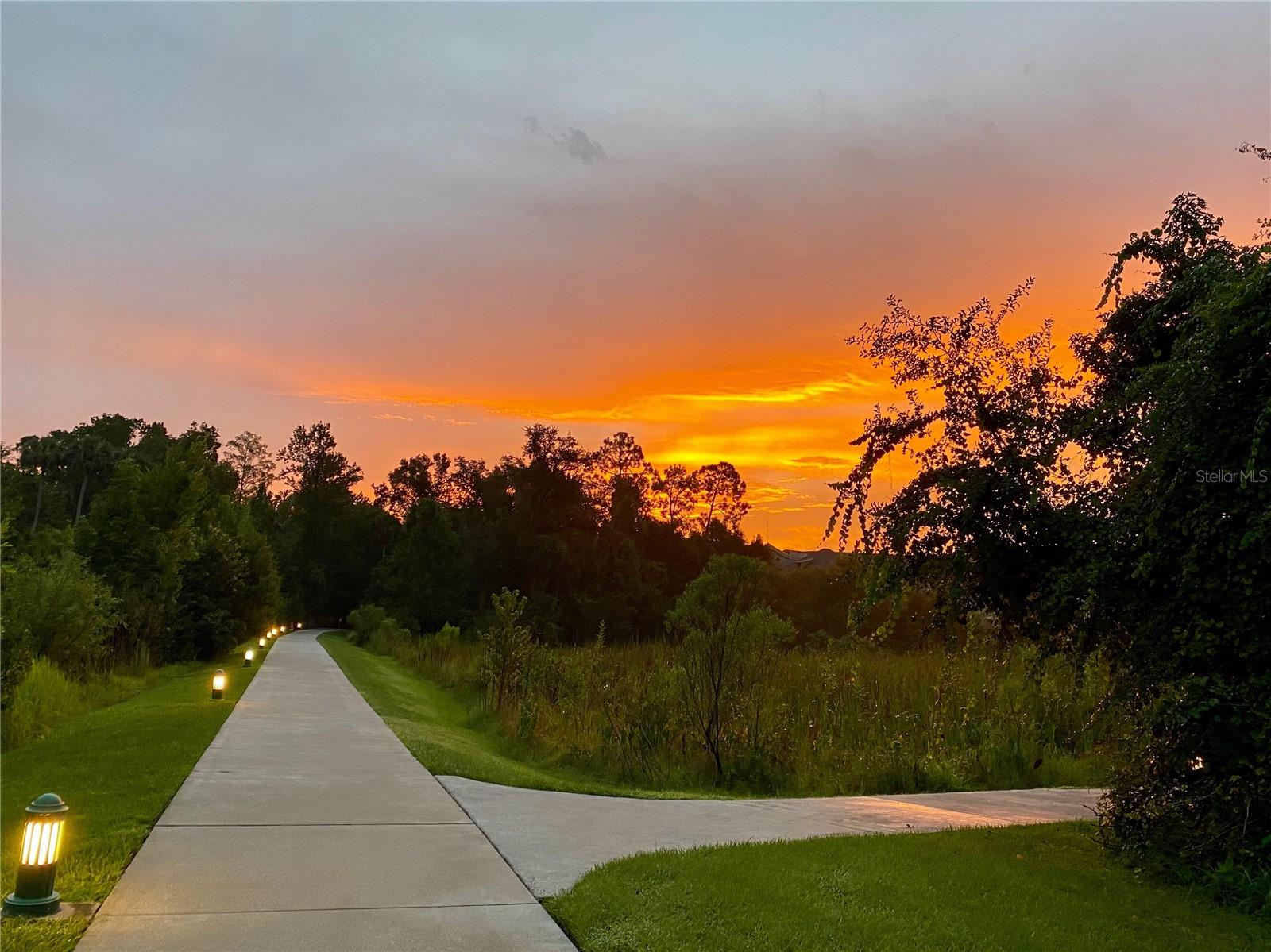 Image 50 of 52 For 1231 Wright Cir  308