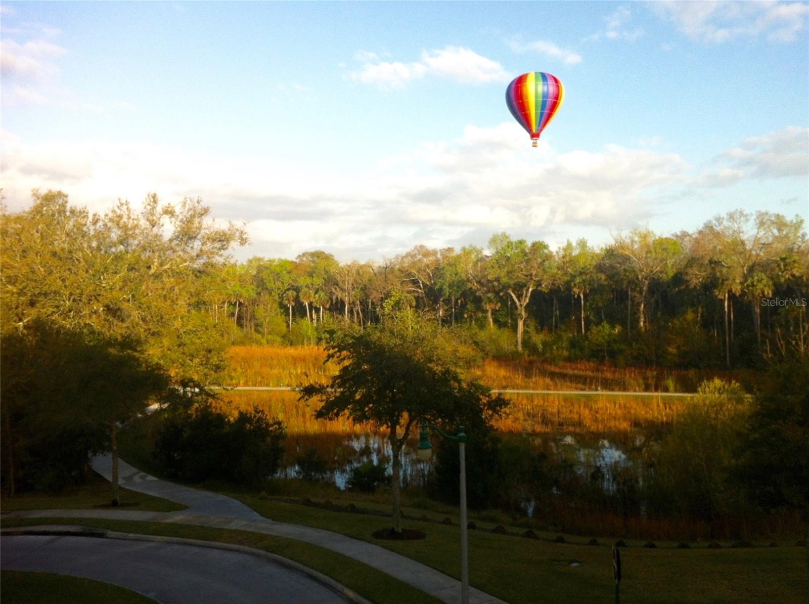 Image 51 of 52 For 1231 Wright Cir  308