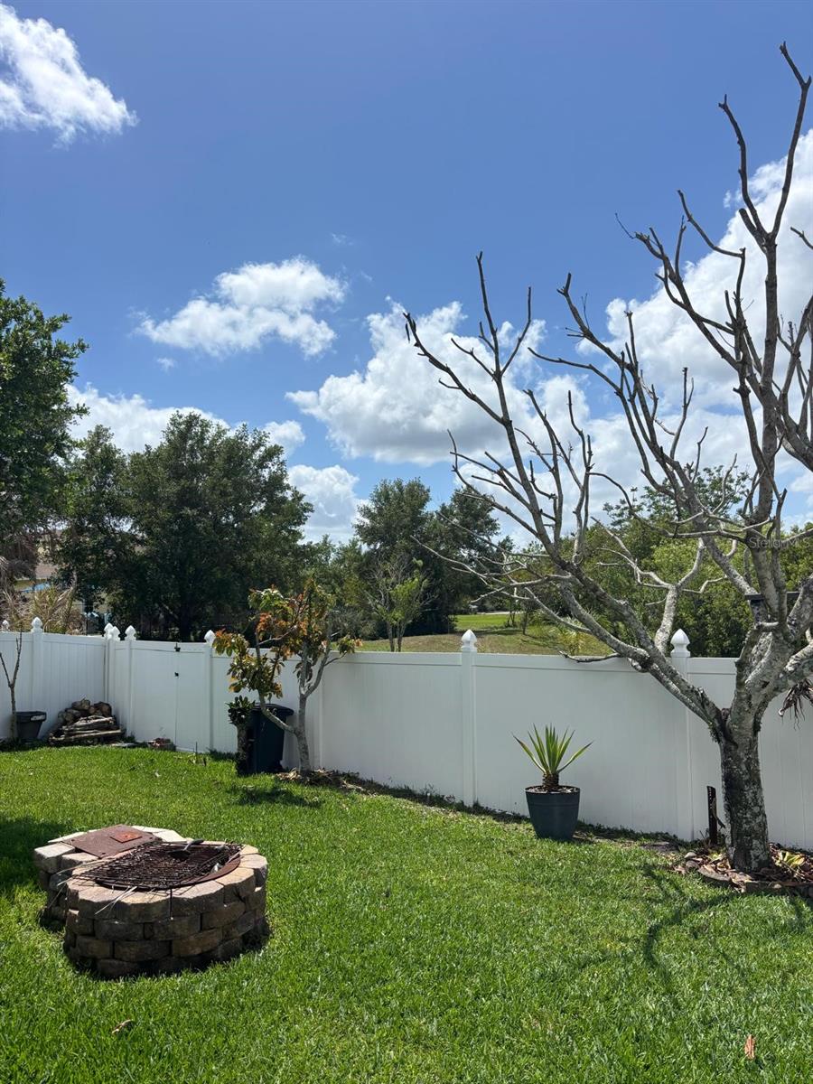 Image 43 of 52 For 1034 Bella Vida Boulevard