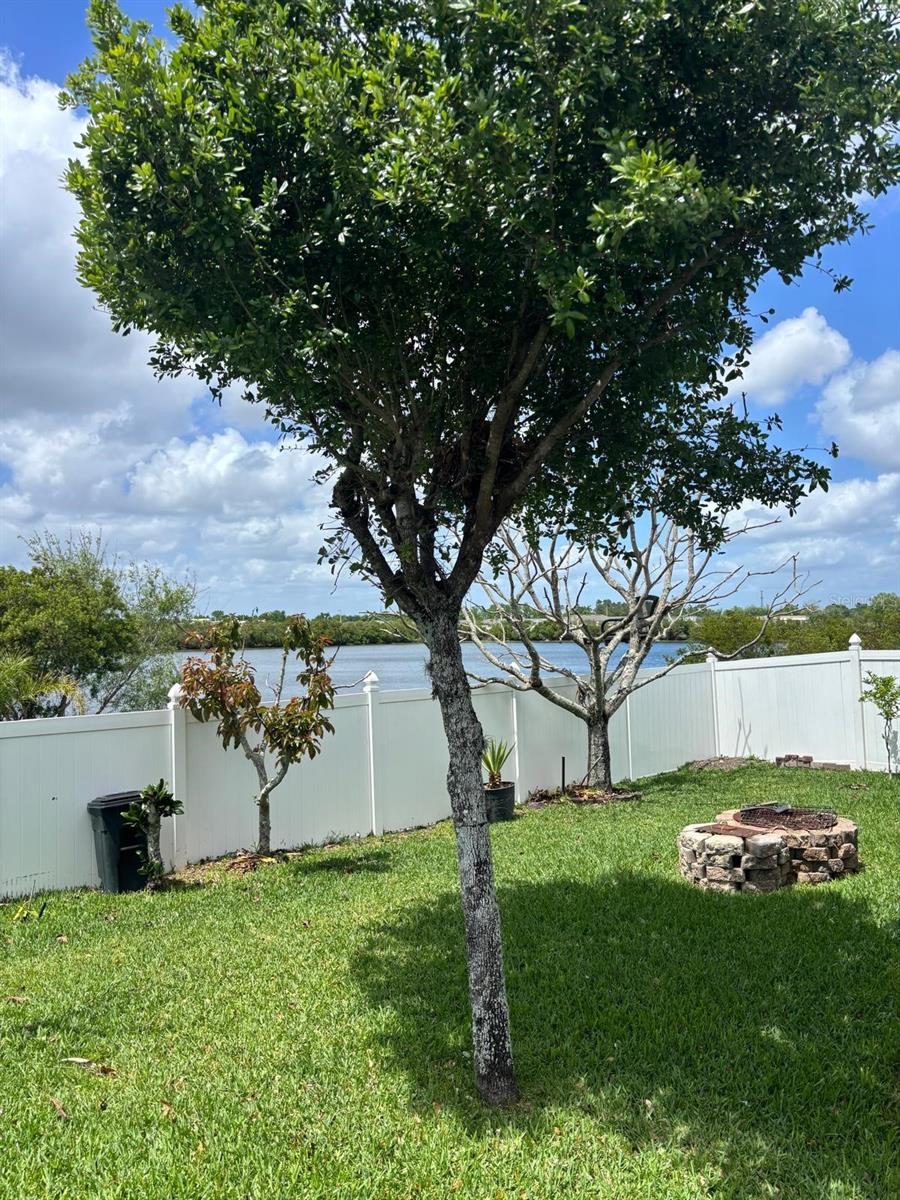 Image 44 of 52 For 1034 Bella Vida Boulevard