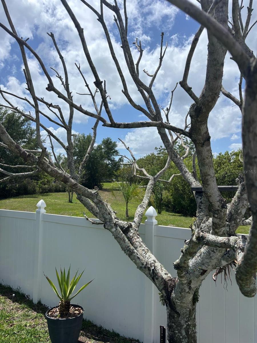 Image 48 of 52 For 1034 Bella Vida Boulevard