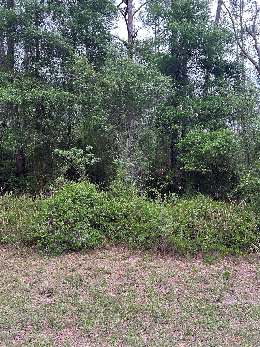 Details for 6265 Allston Terrace, DUNNELLON, FL 34433