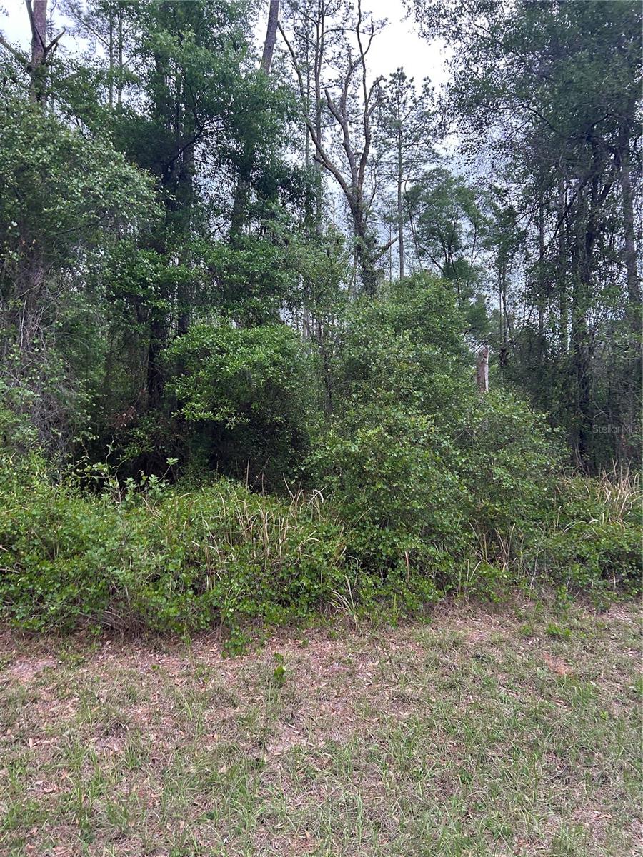 Image 2 of 2 For 6265 Allston Terrace