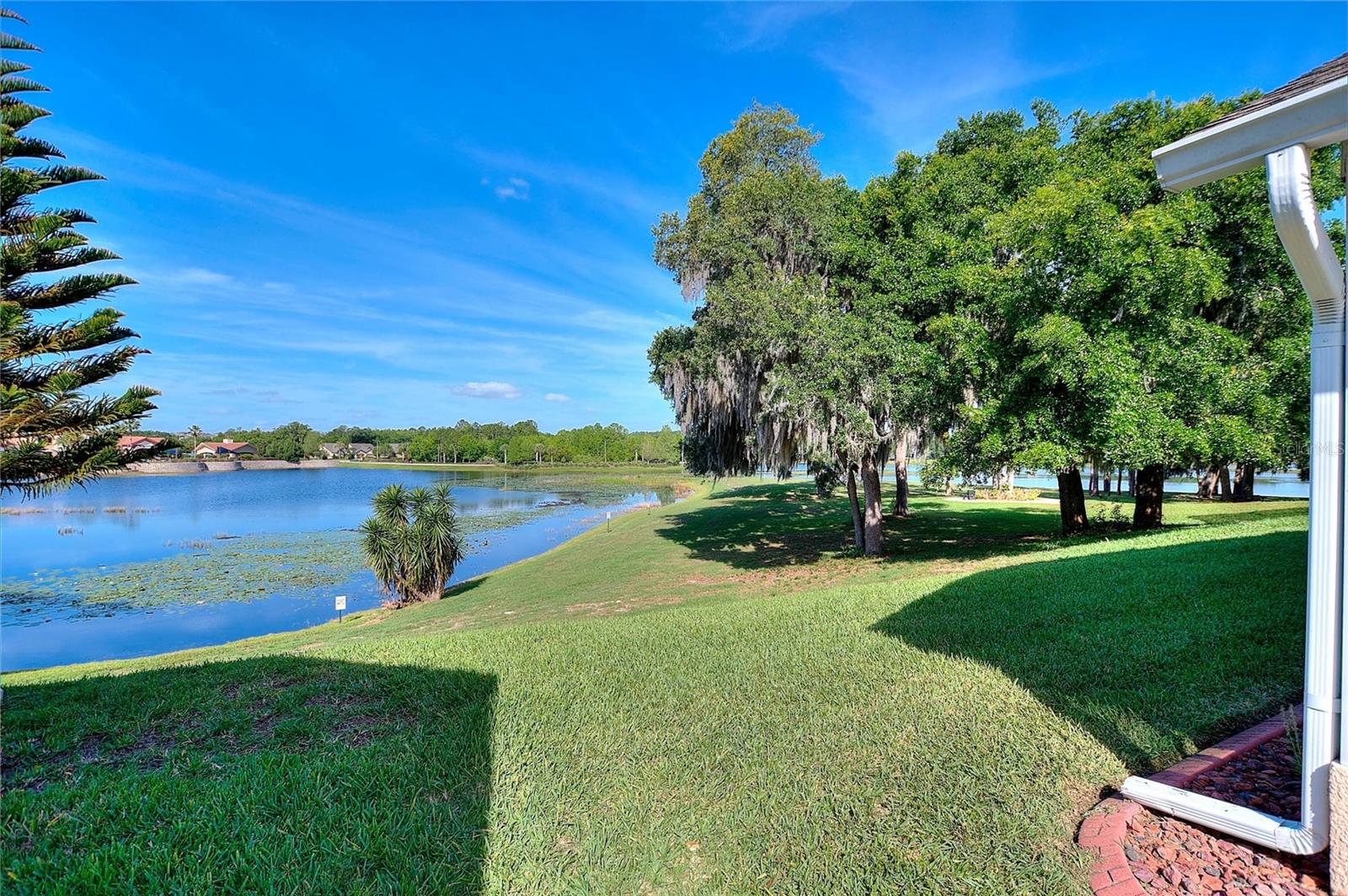 Image 36 of 68 For 331 Cunningham Dr