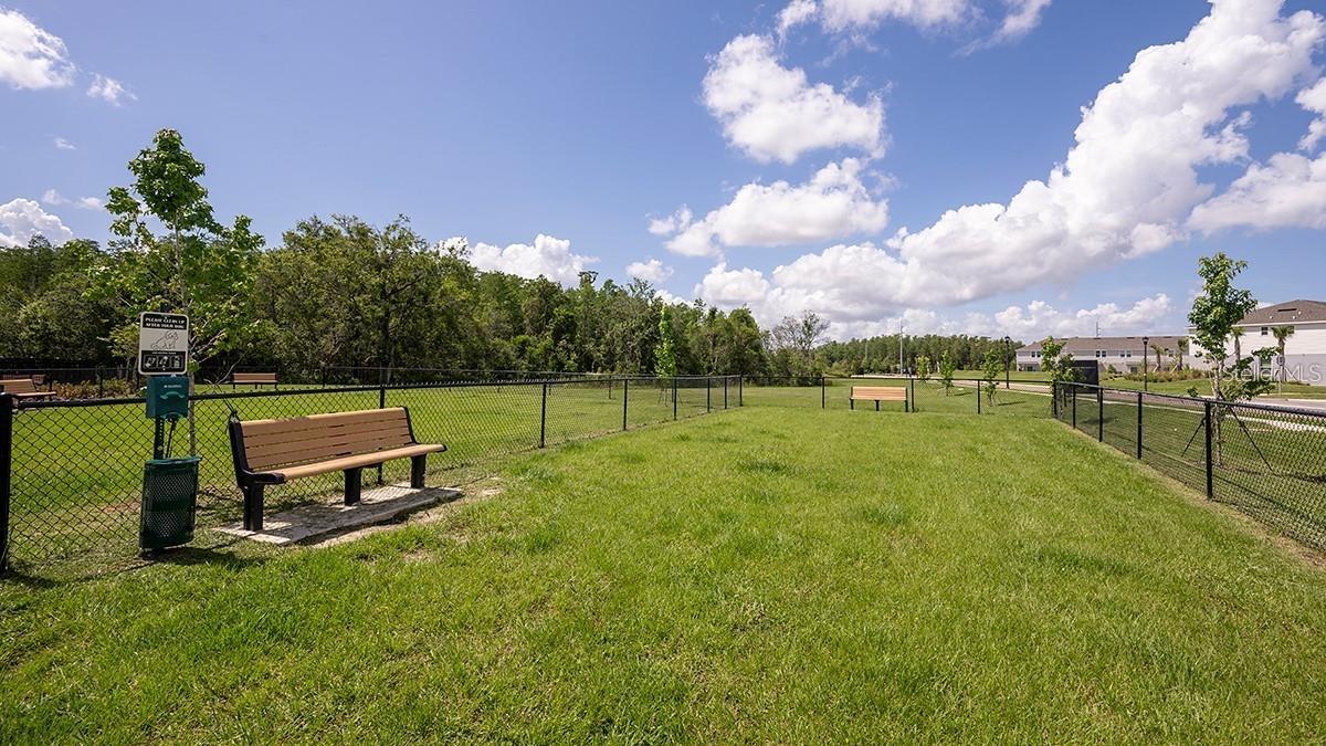 Image 41 of 42 For 2923 Skyline Loop