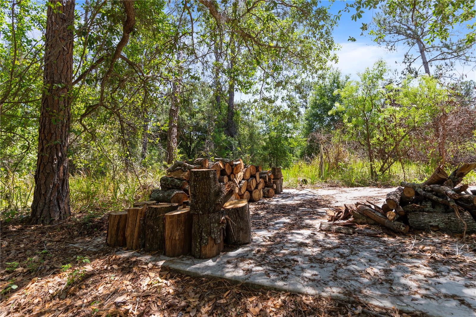 Image 10 of 25 For 9121 Florida Boys Ranch Road