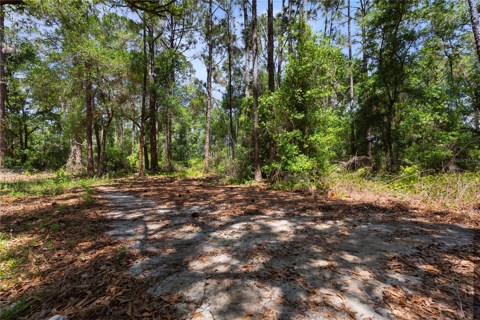 Image 11 of 25 For 9121 Florida Boys Ranch Road