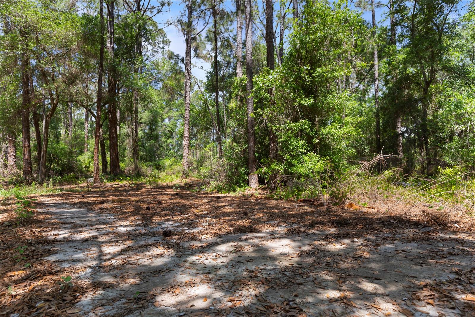 Image 12 of 25 For 9121 Florida Boys Ranch Road