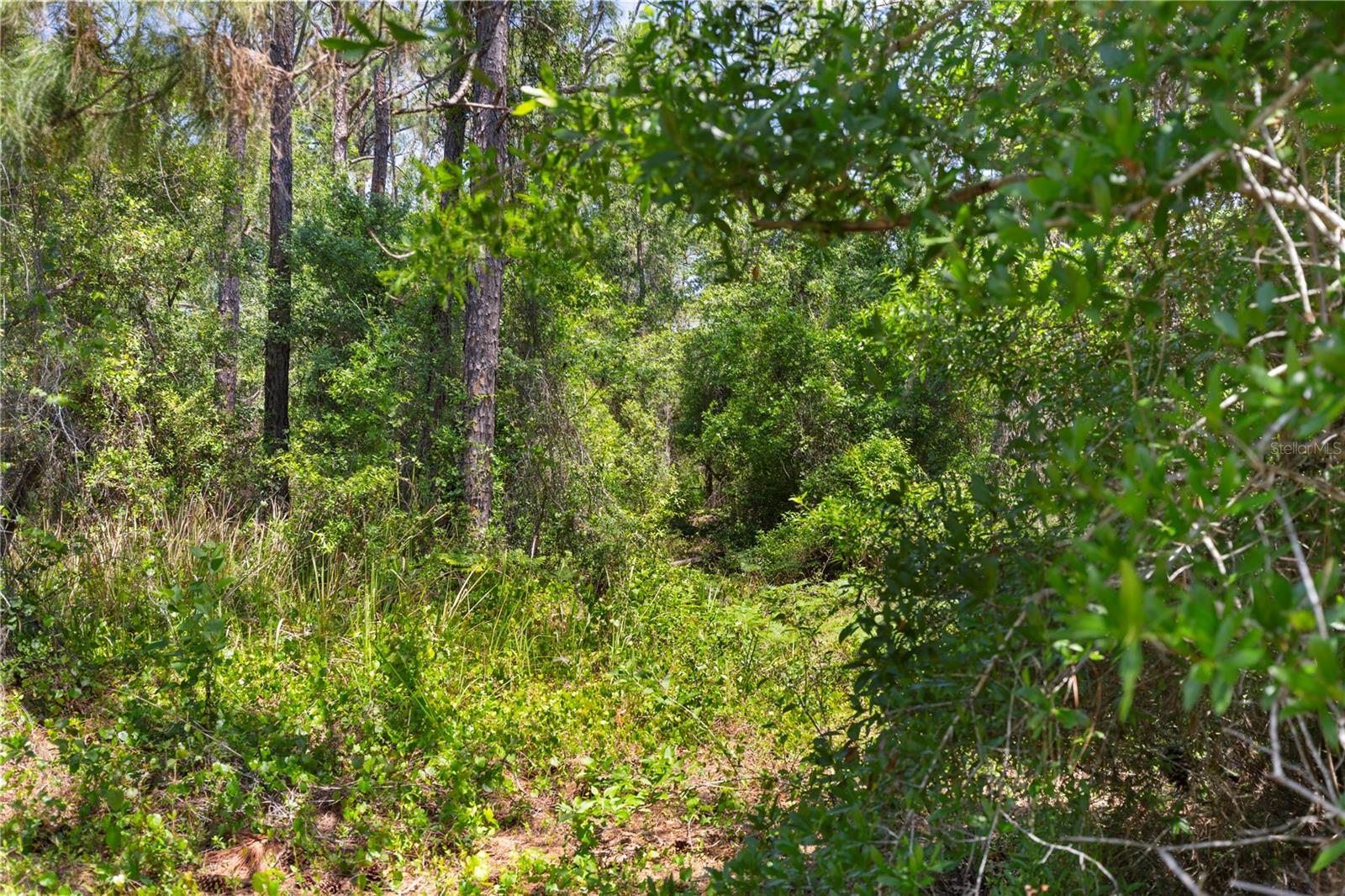 Image 16 of 25 For 9121 Florida Boys Ranch Road