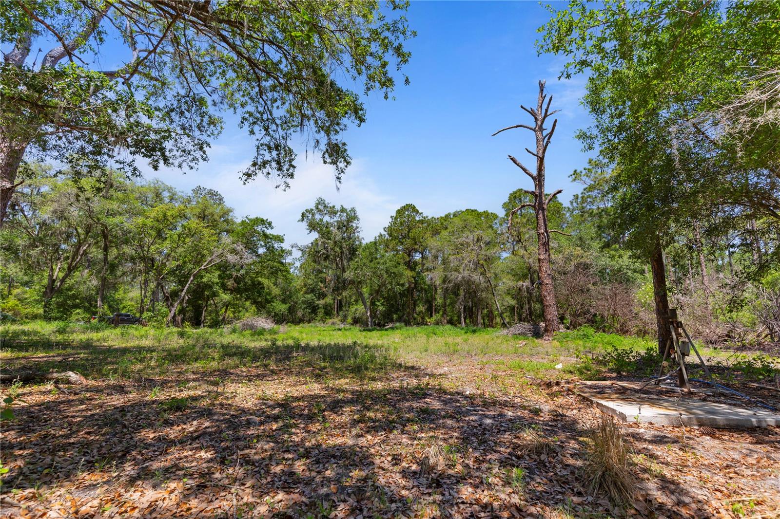 Image 17 of 25 For 9121 Florida Boys Ranch Road