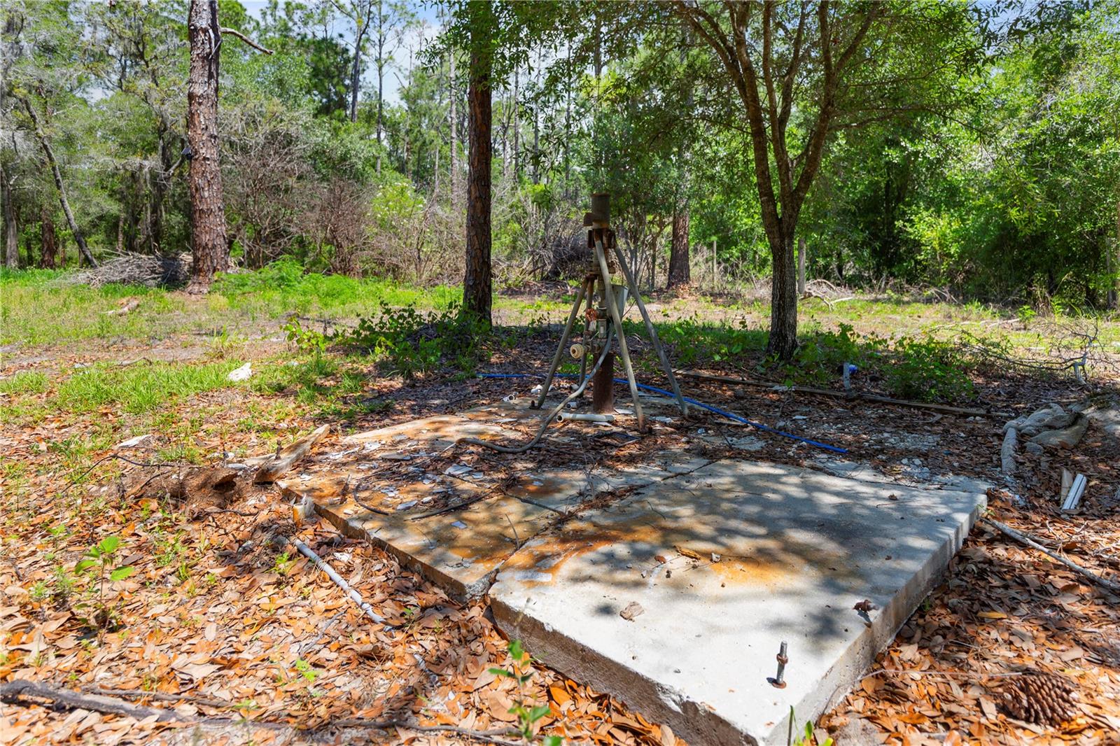 Image 18 of 25 For 9121 Florida Boys Ranch Road