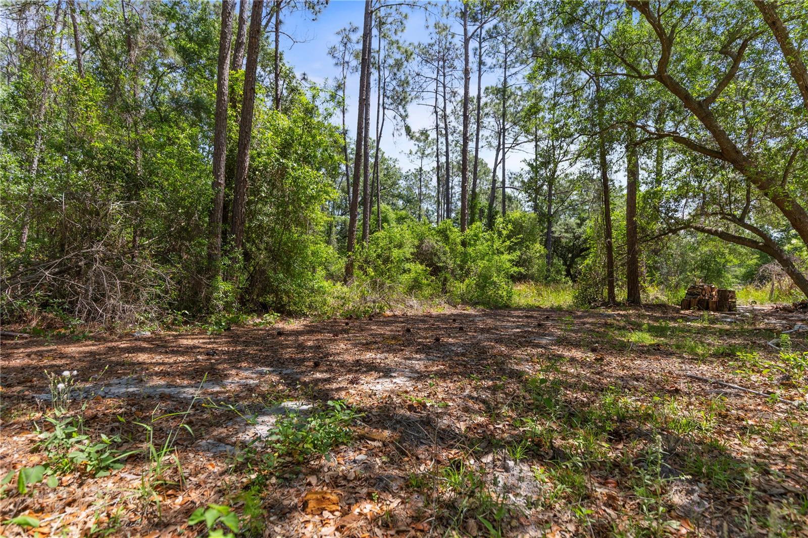 Image 25 of 25 For 9121 Florida Boys Ranch Road